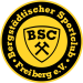 BSC Freiberg 3
